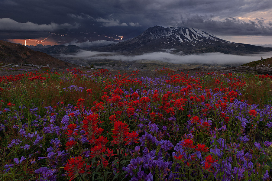 landscape_photography_31_large.jpg