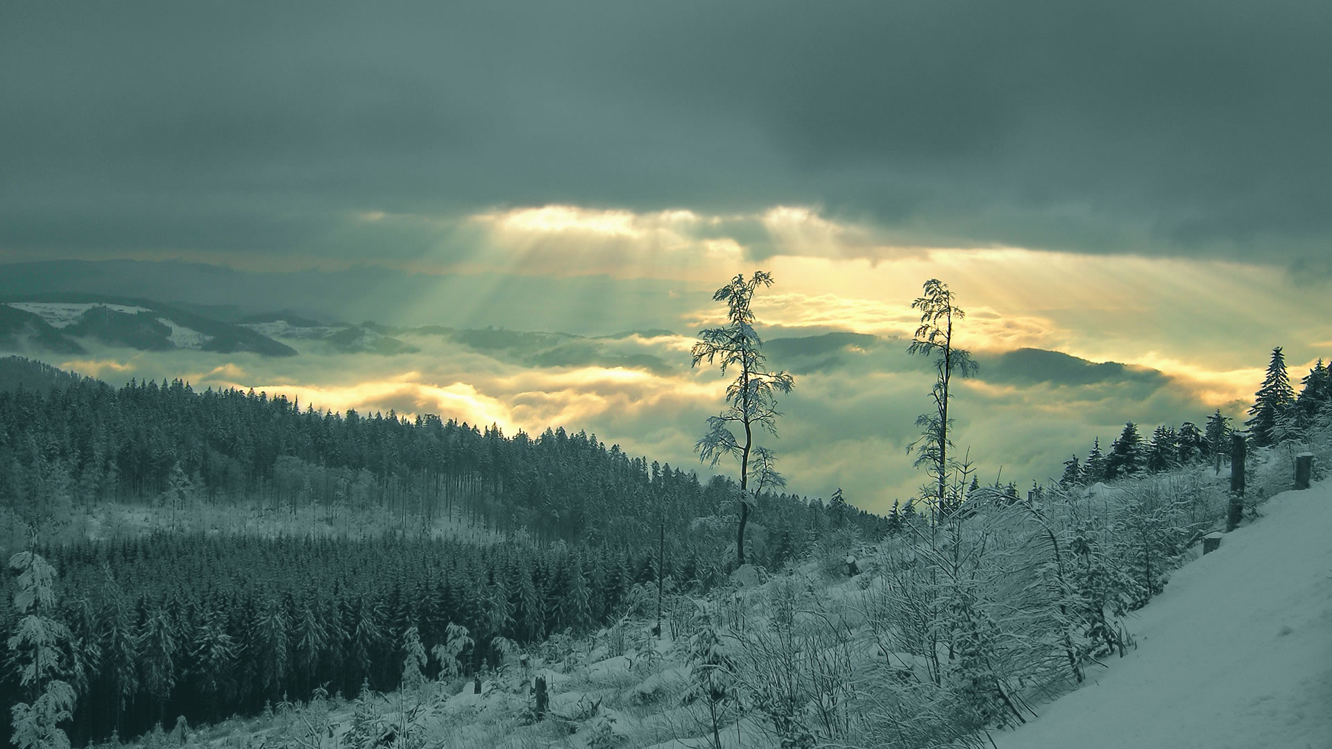best_winter_wallpaper_1920x1080_1010127.jpg