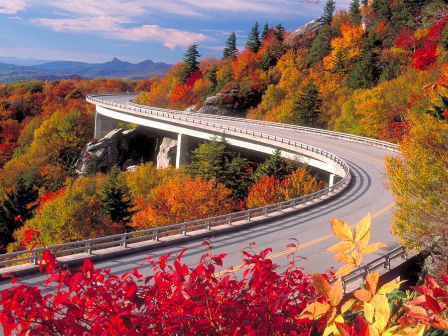 elevated_highway_over_fall_colors__North_Carolina.jpg