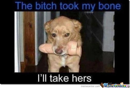 good_boy_o_582342.jpg
