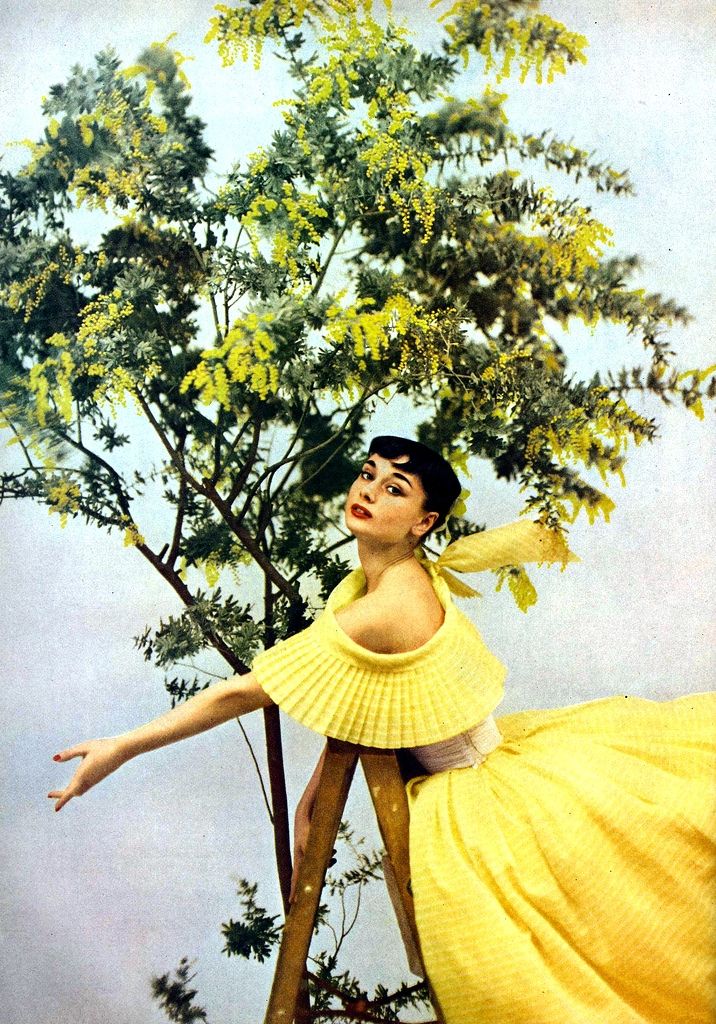 Audrey_is_wearing_mimosa_yellow_gown_by_Ceil_Chapman__photo_by_Richard_Avedon_for_Harper__s_Bazaar__1952.jpg