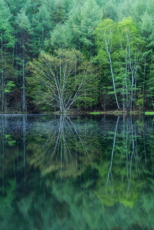 Mishakaike__Nagano__Japan.jpg