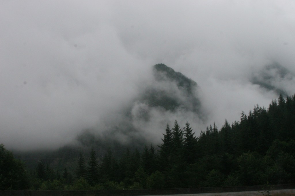 IMG_8618_1024x682.jpg