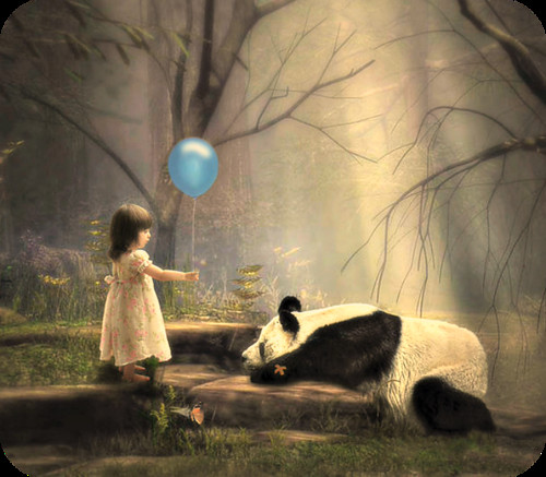 panda_2014_easybranches_janjansen_life_nature_2dede28ab18988306b4e9f36c96ac856_h.jpg