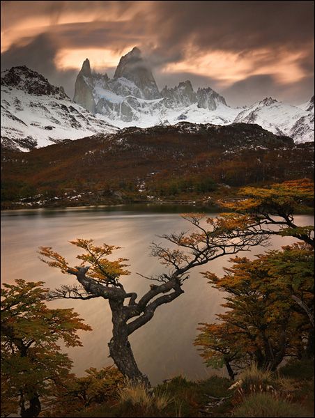 Autumn_in_Patagonia.jpg