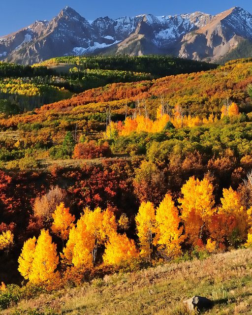 Colorado.jpg