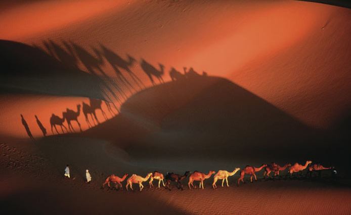 ___Yann_Arthus_Bertrand.jpg