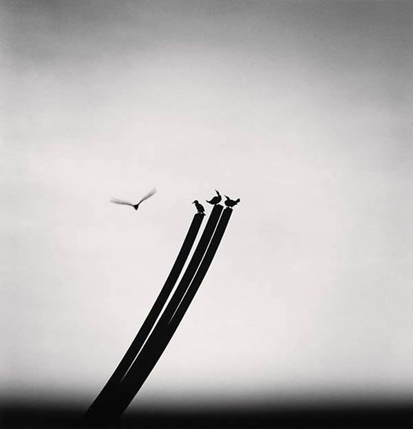 ___Michael_Kenna.jpg