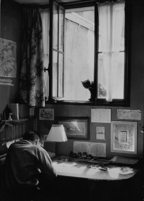 Willy_Ronis__Vincent_et_le_chat__Paris__1955.jpg