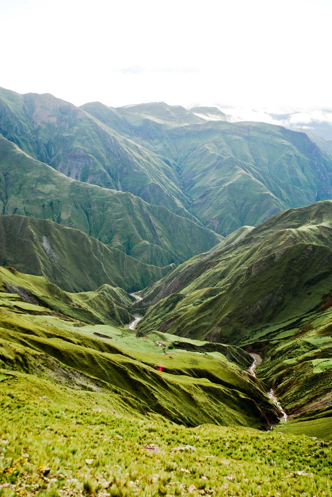 Parque_Nacional_Calilegua__provincia_de_Jujuy__Argentina.jpg