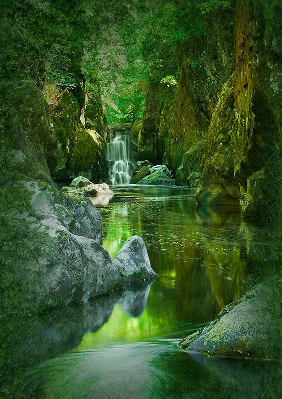 The_Fairy_Glen__Conwy_River___Betws_y_Coed__North_Wales.jpg
