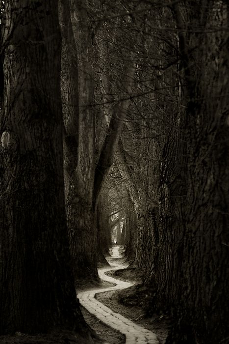 Winding_roads.jpg