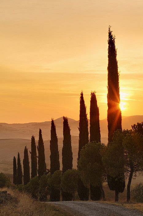 San_Quirico_d__Ocia__Tuscany__Italy.jpg