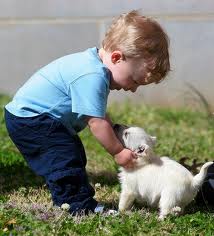 images__5_.jpg