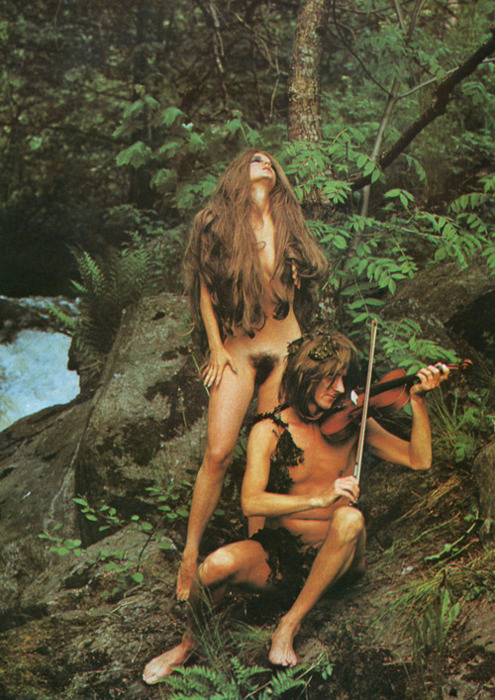 Hippy.png
