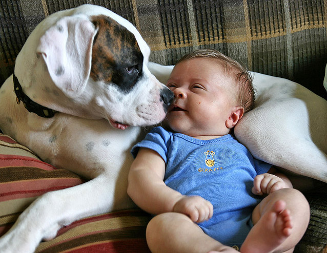 children_with_animals__7_.jpg
