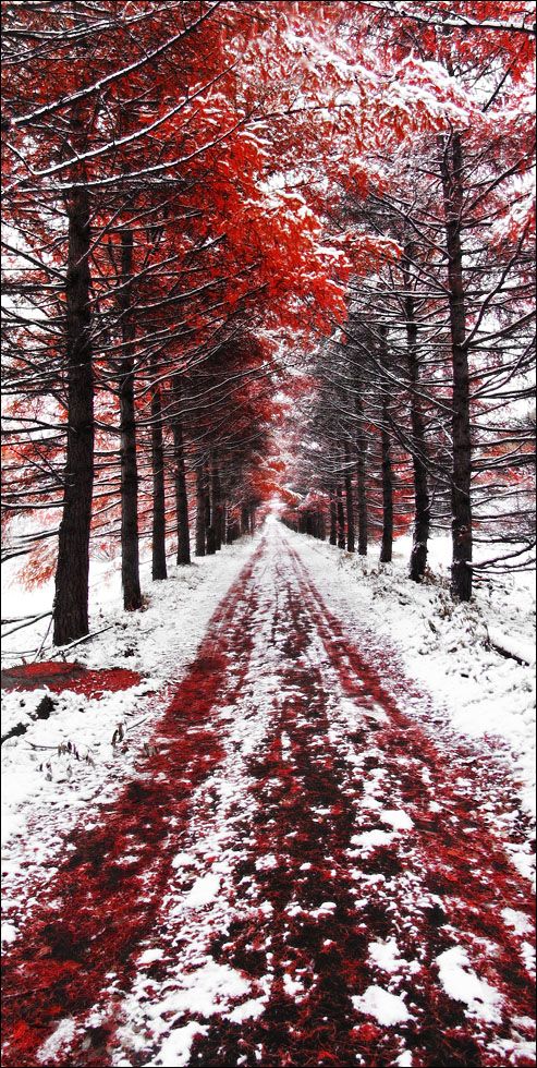 Early_Snow.jpg