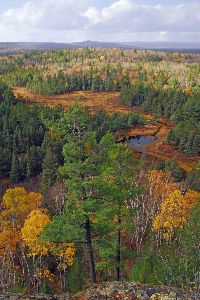 Centennial_Ridges_Trail_1_by_Steve_Urszenyi___Algonquin_Park__Ontario__Canada.jpg