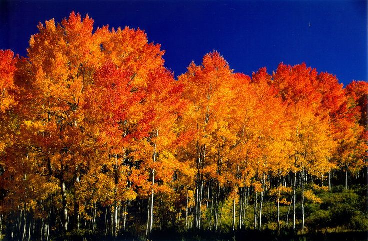Aspen__Colorado.jpg