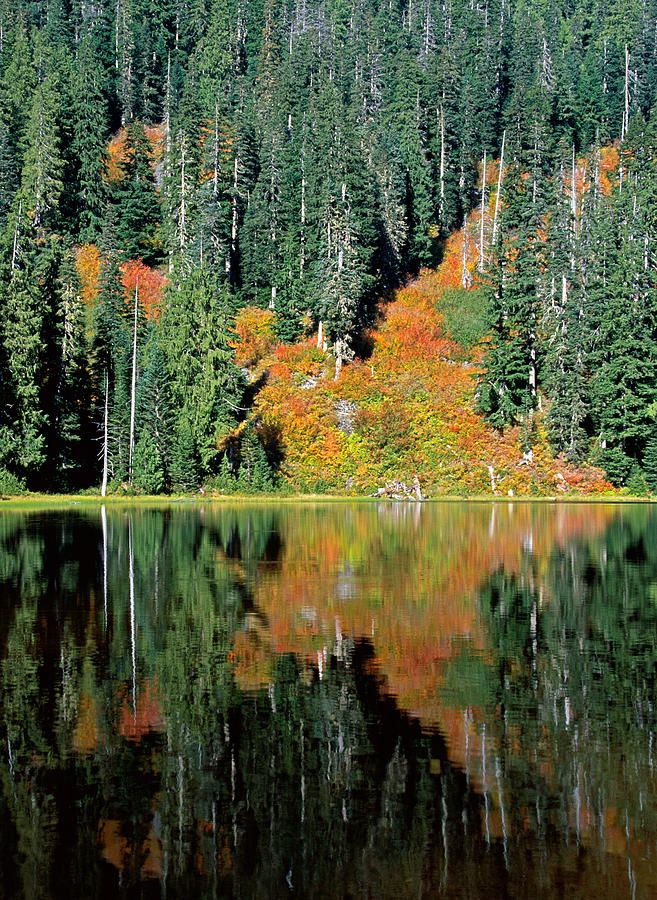 Autumn__Lake_Elizabeth__Snoqualmie_National_Forest__Washington.jpg