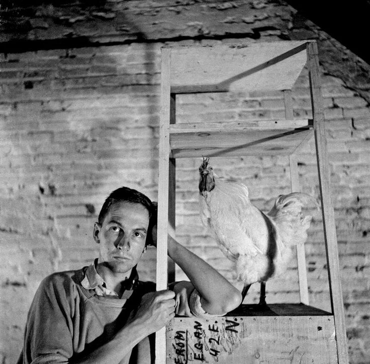 Robert_Rauschenberg_by_Robert_Rauschenberg.jpg