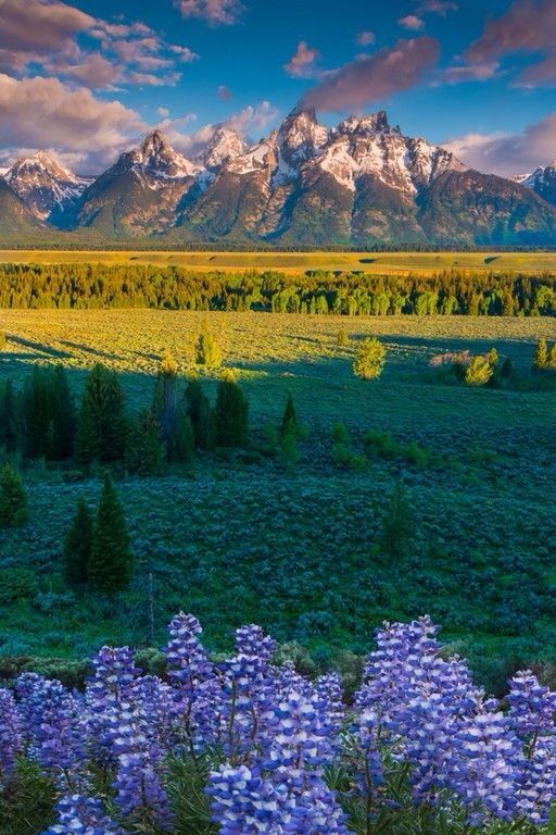 Grand_Teton_National_Park__Wyoming__USA.jpg