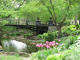 images__19_.jpg