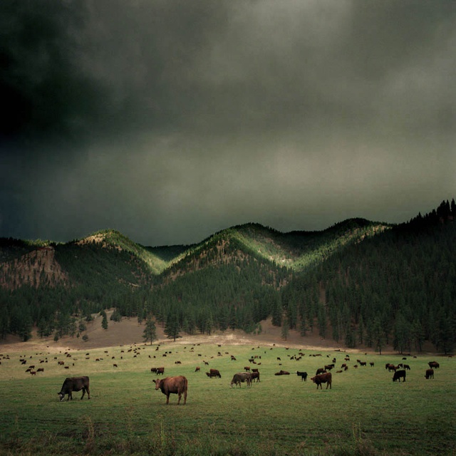 montana_by_michael_eastman.jpg