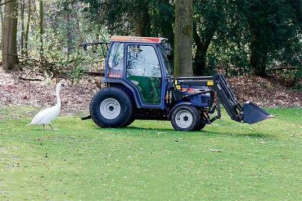 lebed_traktor_1.jpg