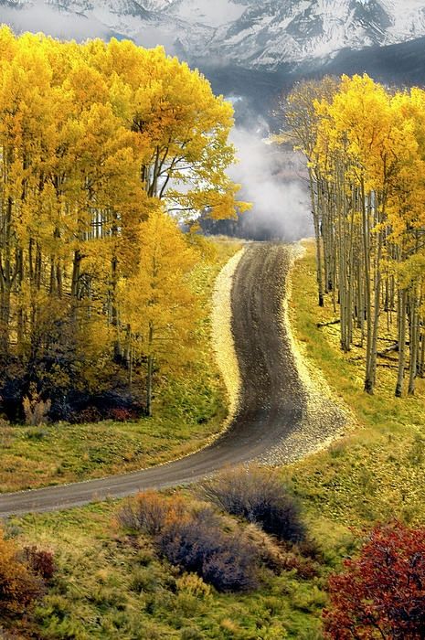 Fall_road_trip_to_Aspen__Colorado.jpg