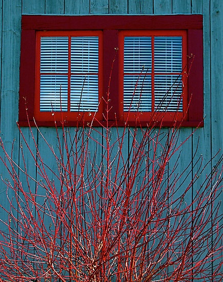 Blue_Barn_by_Jeannette_Sheehy.jpg