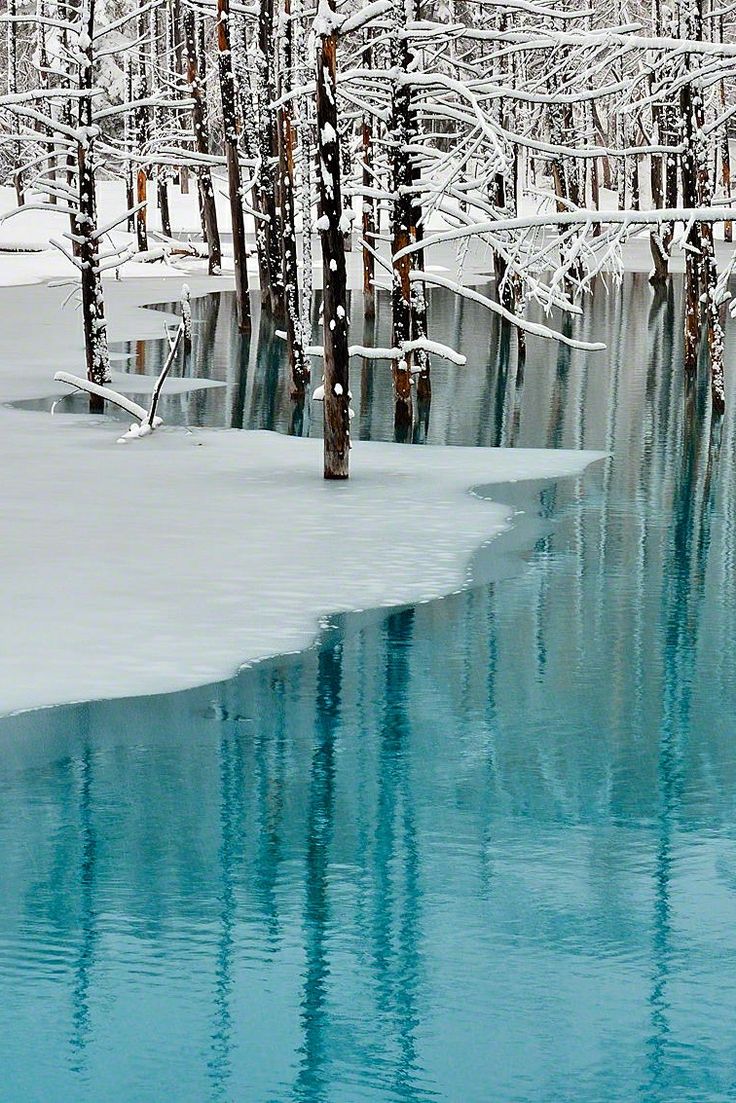 Hokkaido_Japan.jpg