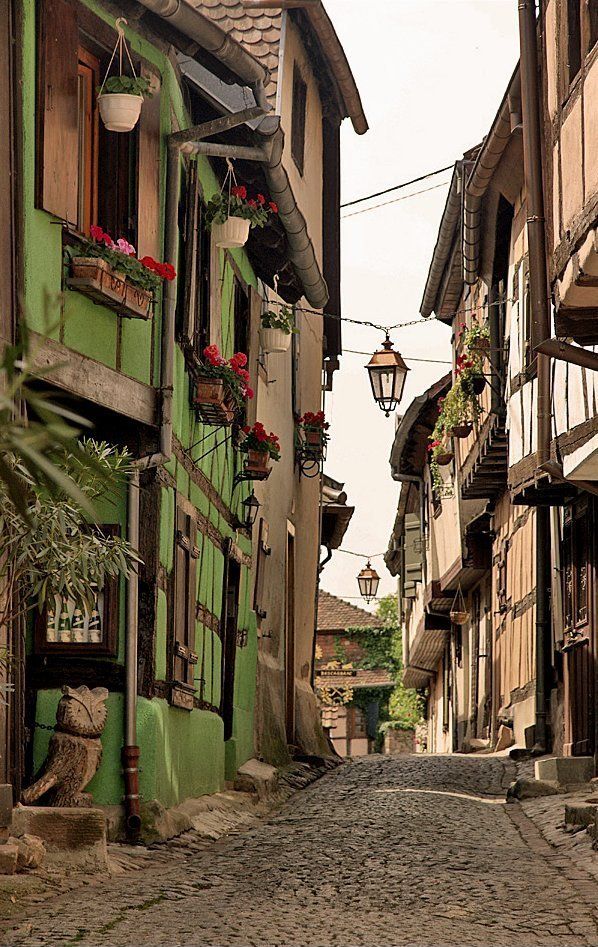 Alsace__France.__by_Martien_Uiterweerd.jpg