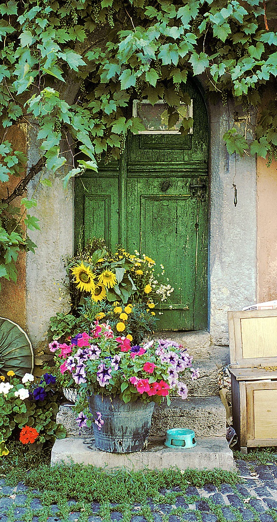 Garden_porch___Provence.jpg