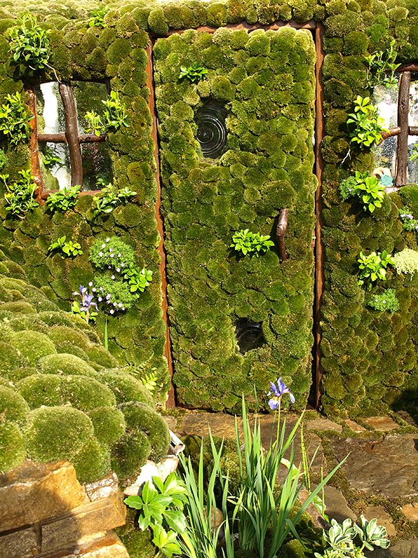 Moss_Door_Japan.jpg