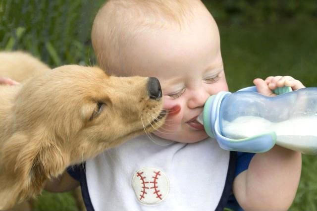 children_and_animals_at_home.jpg