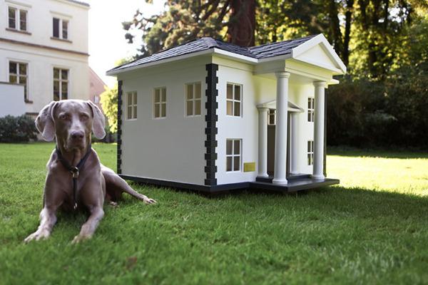 beautiful_dog_houses_a_little_design_love_for_L_4v3wfb.jpeg