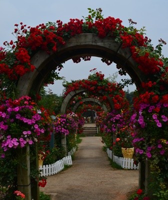 rose_festival_flower_tunnels_e1371975117497.jpg