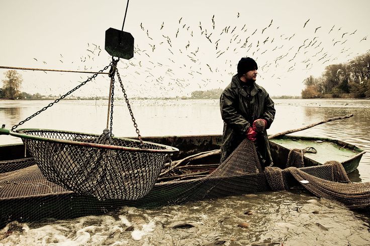 Fishing_out___by_Robert_Adamec__Czech.jpg