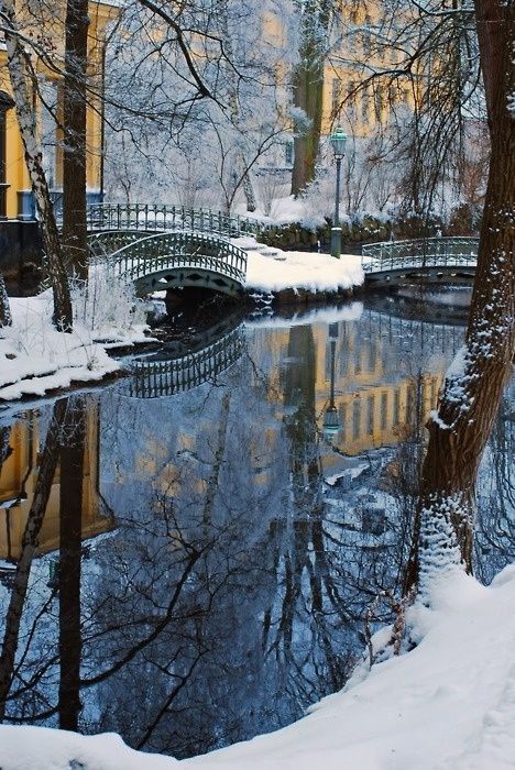New_York_City__s___Taste_of_Winter.jpg
