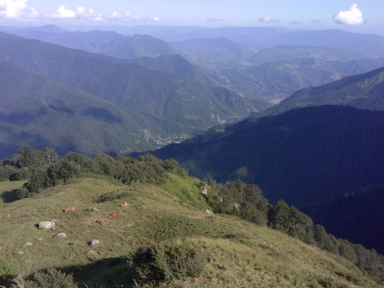 rsz_1cam00157.jpg