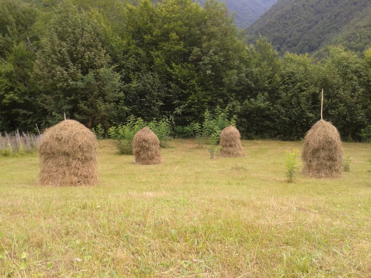 rsz_20140806_124934.jpg