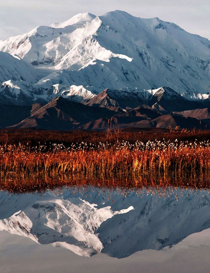 Denali__Alaska.jpg