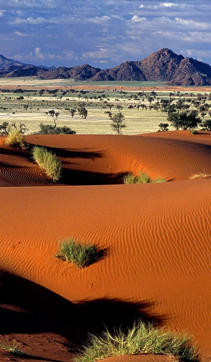 Tok_Tokkie_Trail_Camp__Namib_Desert__Namibia..jpg