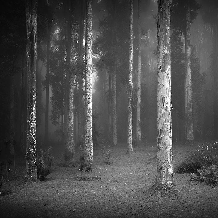 ____Botanical_Garden___Bedugul___Bali.jpg