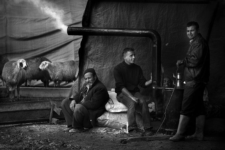 Sheperds_life___by_Yavuz_Sariyildiz__1962___Turkish.jpg