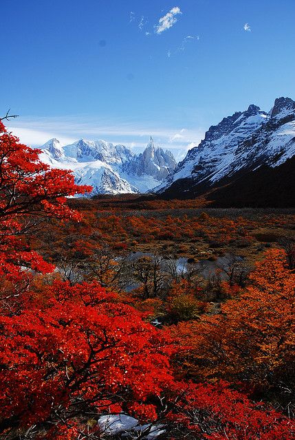 Patagonia__Argentina2.jpg