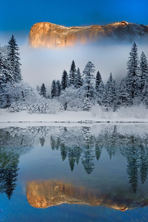 Winter_Symmetry___Yosemite_National_Park__California.jpg