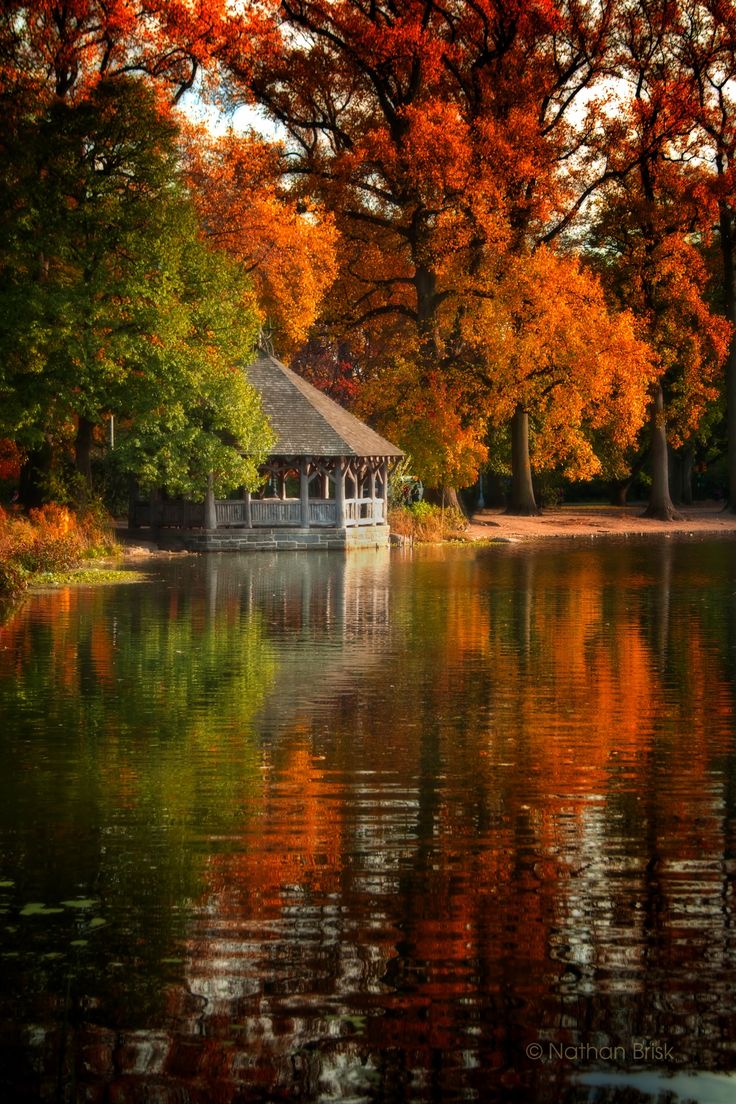 Prospect_Park__Brooklyn__New_York__photo_by_Nathan_Brisk.jpg