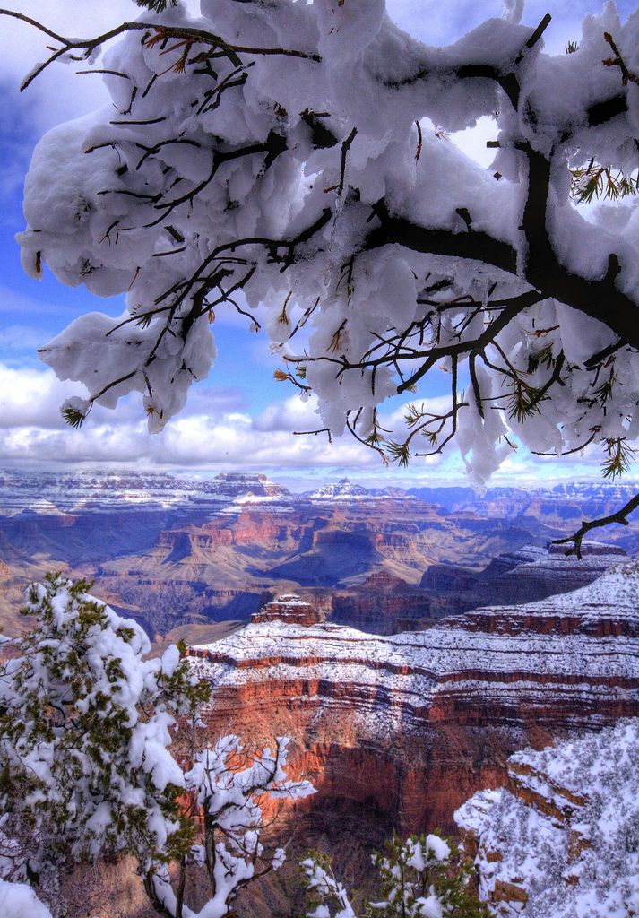 The_Grand_Canyon_in_winter..jpg